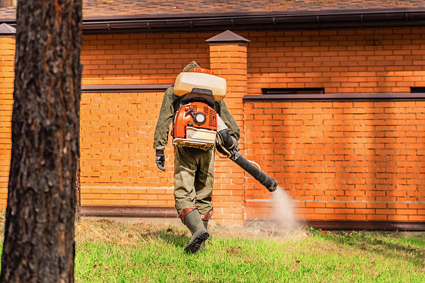 Trusted Cockroach Control service in Shrewsbury, PA - Nex Pest Control